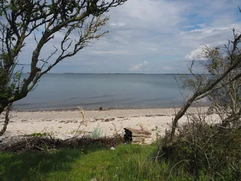 Halshuisene + Enebaerodde Beach (Denemarken)